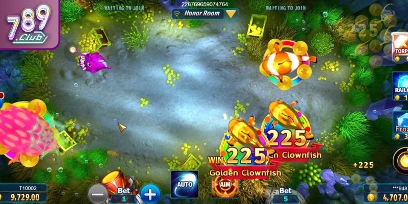 Những yếu tố nổi bật tạo nên sức hút cho newbie
